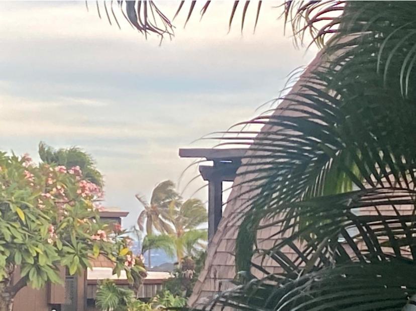 Charming 1 Bedroom Beach Condo Prime Location Great Value Pahala ภายนอก รูปภาพ